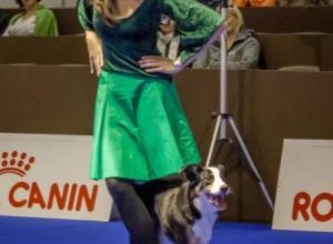 alice-et-souka-dogdance-8nov14-162-version-2_g.jpg