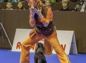 christiane-et-ibis-palexpo-8-nov-2014-concours-dog-dancing_g.jpg