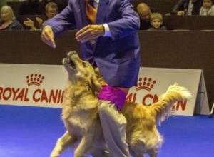 olivier-et-olie-palexpo-8-nov-2014-concours-dog-dancing-905-version-2_g.jpg