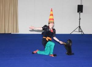 pinga-le-clown-2009-2_g.jpg