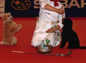 trio-palma-et-pinga-le-cuisinier-wintertur-2006-3_g.jpg